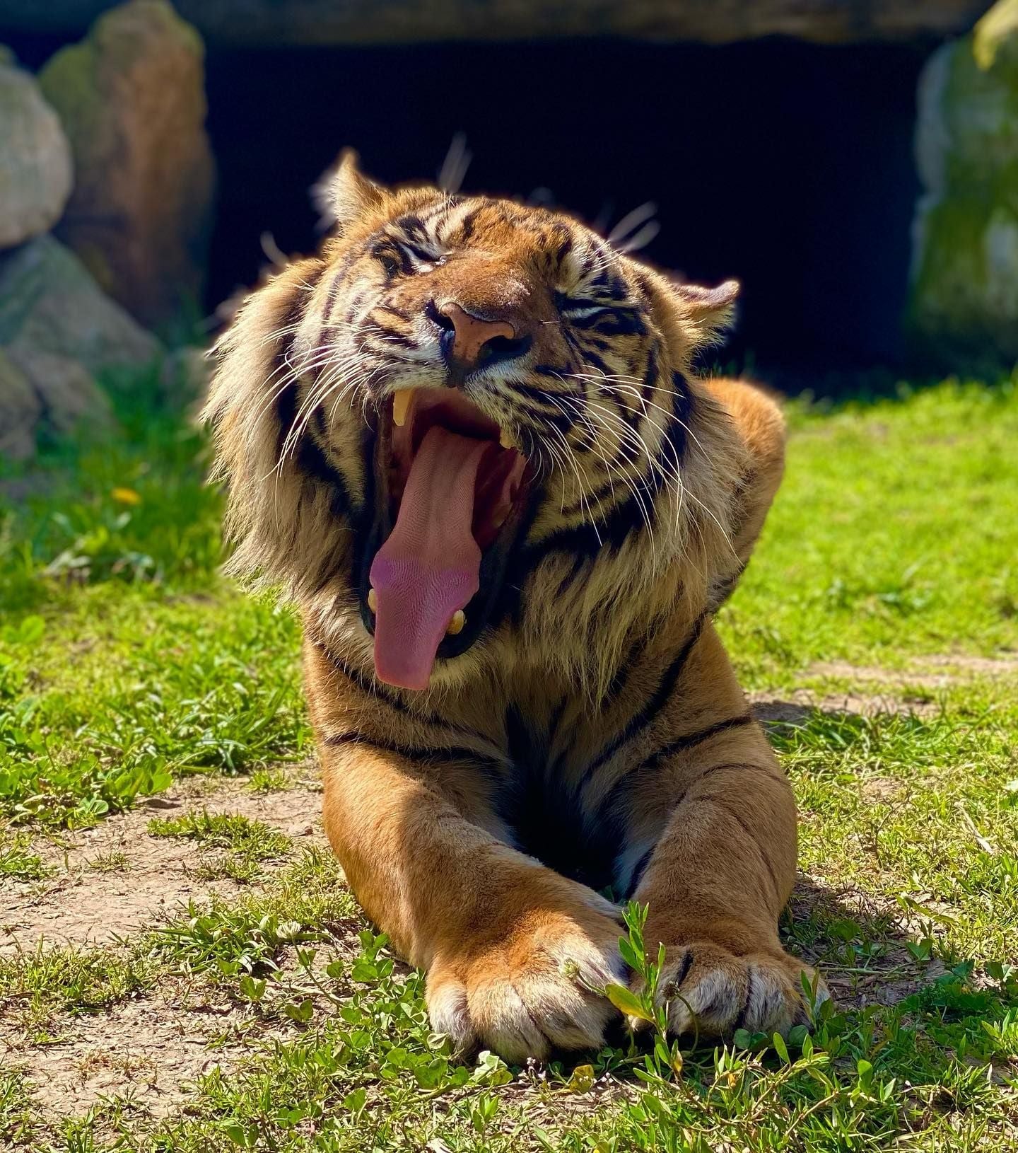 Sydney Zoo November Public Day Tour November 2022 Image -636ff9d91afc2